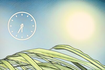 How to Catch a Grasshopper