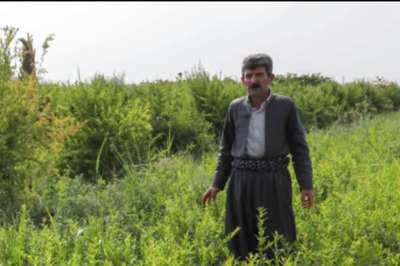 7 Apps To Track And Regulate Your Carbon Footprint In 2023