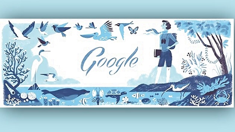 Rachel Louise Carson: Google doodles the environmentalist's 107th birthday
