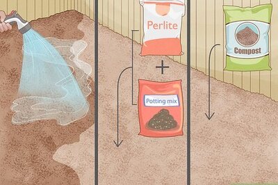 How to Have a Sustainable Garden in Saudi Arabia