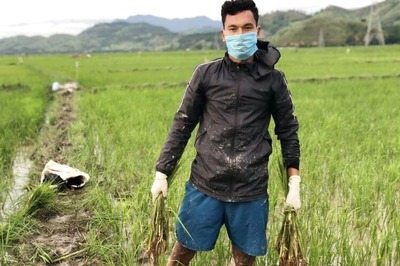 Indian Football: Amarjit Singh Kiyam Reconnects With His Roots, Finds 'Peace' on Paddy Fields