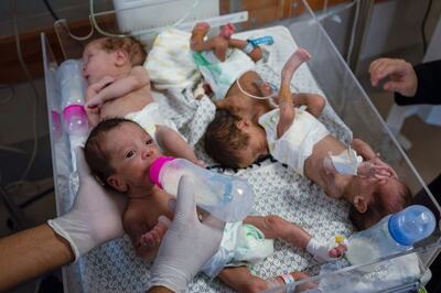 In War-Torn Gaza, Diapers and Baby Formula Are Hard to Find, Leaving Parents Desperate