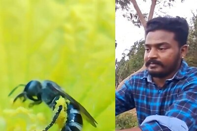 Coimbatore Youth Showcases His Breathtaking Photography Skills Capturing Various Insects