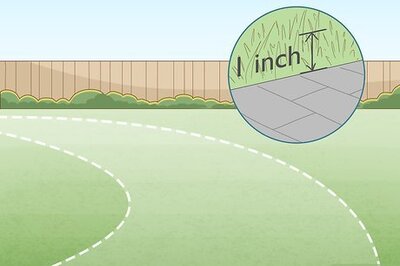 How to Grow Grass Between Pavers