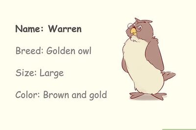 How to Create a Character