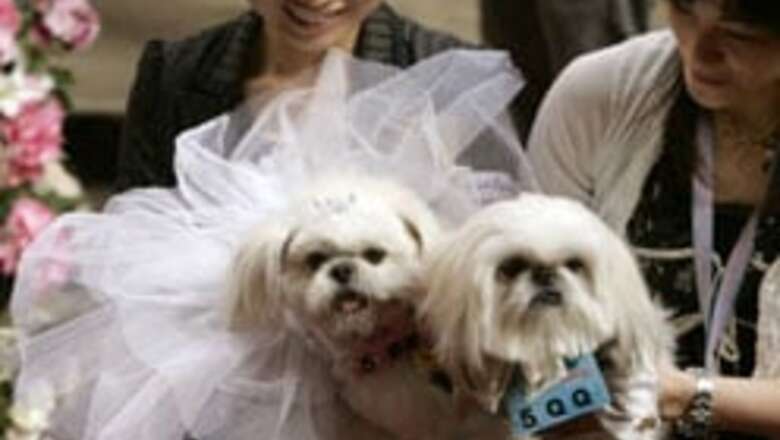 Canine couples exchange 'bow-vows'