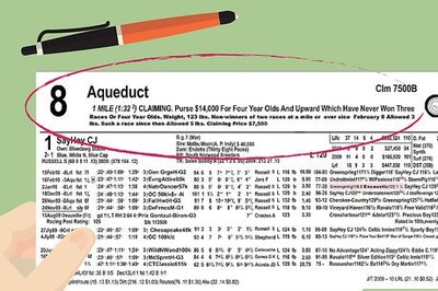 How to Read a Racing Form