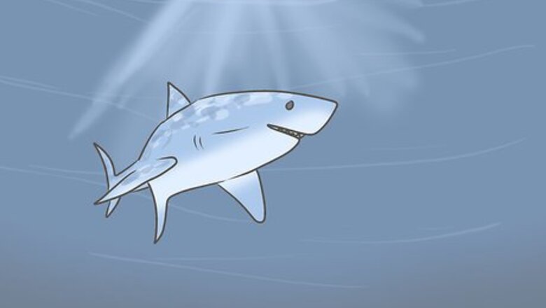 How to Overcome the Trauma of a Shark Attack