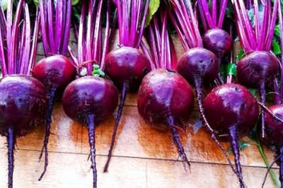 Avoiding Beetroots? Here are Interesting Nutritional Facts About the Vegetable