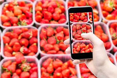 Love to play with your phone's camera? 10 things that you should have in your smartphone photography kit