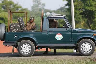 Royal Bengal Tiger's Carcass Found in Kaziranga National Park