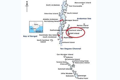 Havelock Island: Rescue Ops Begins, Over 85 Tourists Rescued In First Phase