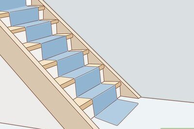 How to Help a Dog Overcome Its Fear of Stairs