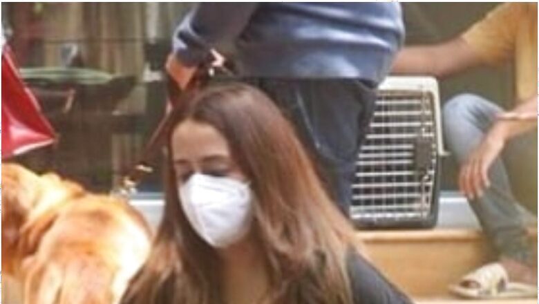Varun Dhawan's Wife Natasha Dalal Snapped with Their Doggo Joey, See Pics