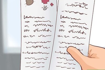 How to Travel Long Distance With a Cat