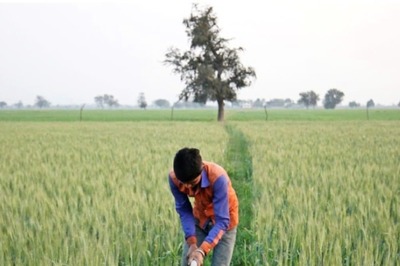 Opinion | Weather Blues Again: Organic Farming Need of the Hour in India