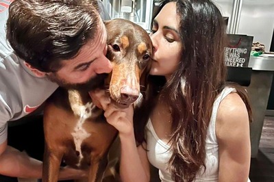 John Abraham and Priya Runchal Celebrate Their Pet Dog’s Birthday, Check Paw-dorable Pics