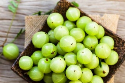 Can Amla Help Improve Hair Health? The Right Way To Use It