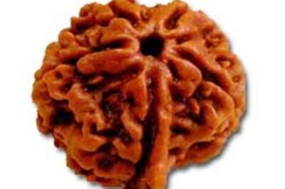 Rudraksh ad on TV makes UK watchdog see red