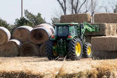 Rural India A 'Bright Star' for FMCG Sales; Will Continue to Outpace Urban Expansion in Q2 of 2024: Kantar