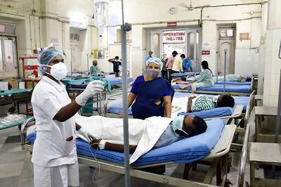 Humble Pai: The Man Who Found the Antidote to Black Fungus