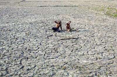 Drought likely to hit rural economy, aggravate poverty