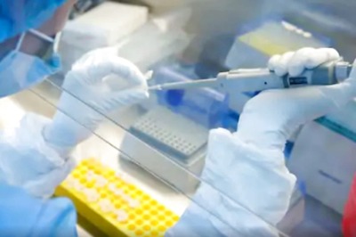 Scientists Say Fatal Ebola-like 'Chapare Virus' Can be Transferred Between Humans through Bodily Fluids