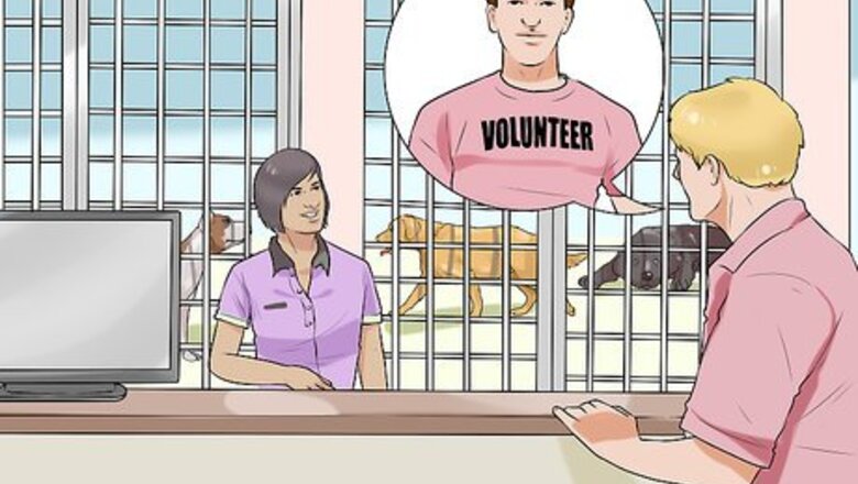 How to Get Help Housebreaking a Dog on a Limited Budget