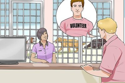 How to Get Help Housebreaking a Dog on a Limited Budget