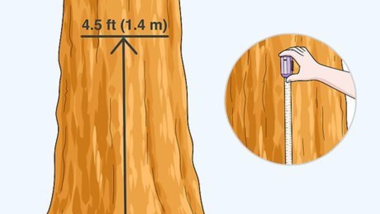 How to Measure Tree Size