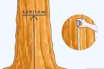 How to Measure Tree Size
