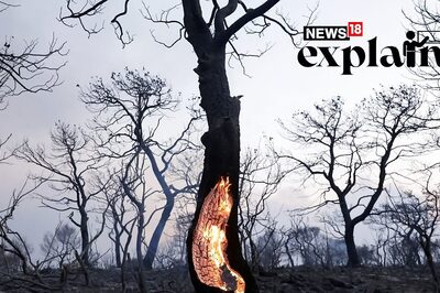 Heat Affects Not Just Body, But Also Brain: As High Temperatures Ravage World, a Look at Its Effects