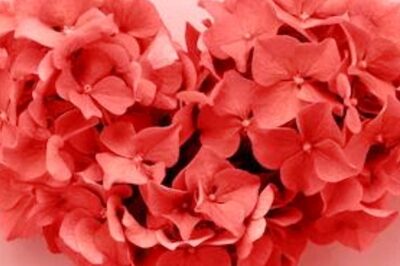 Ace Long-Distance Relationship With These Easy Tips