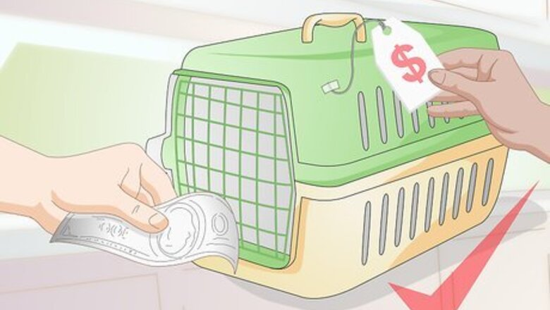 How to Crate Train a Small Dog