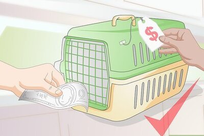 How to Crate Train a Small Dog