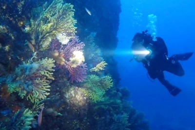 A Suspected Toxic Spill in Russia's Far East Has Killed 95% of Marine Life on Seabed