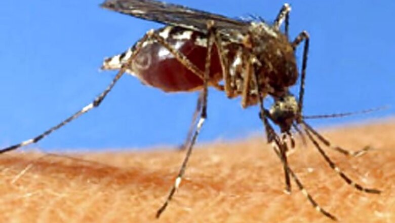 Number of dengue cases in Delhi soar to 611