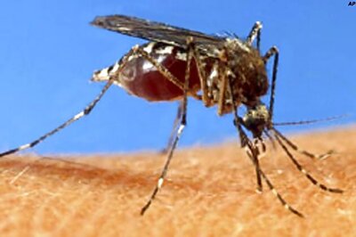 Number of dengue cases in Delhi soar to 611