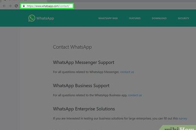 How to Contact WhatsApp