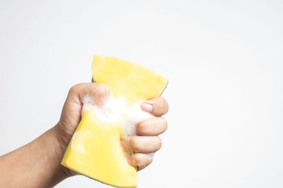 DYK That Your Kitchen Sponge Could Have These 7 Disease-Causing Germs?