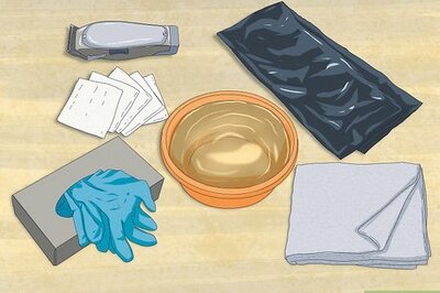 How to Express Your Cat's Anal Glands at Home