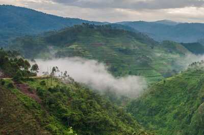UP Gears up for Rural Tourism, All About Agritourism and the Man Who Pioneered It in India