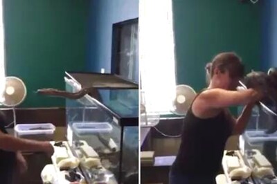 Watch: Snake Attacks Owner As She Tries To Release It From Cage