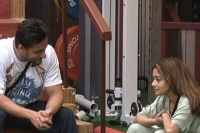 Bigg Boss 16: Shalin Bhanot and Tina Datta Get Into Massive Argument, Call Each Other 'Dumb'