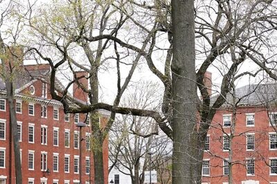 Harvard Faces Lawsuit Alleging Rampant Anti-Jewish Harassment Since Start of Israel-Hamas War