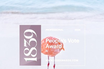 The 'Flamingo' Photo That Won AI Award Gets Disqualified For Being Real