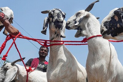 Goats Worth Rs 10 Lakh Stolen from Noida Farmhouse
