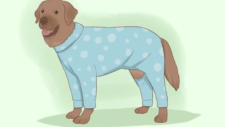 How to Make Dog Clothes