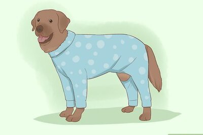 How to Make Dog Clothes