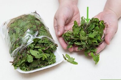 How to Get Rid of Acne Using Mint Leaves